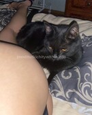 Анкета проститутки Влада - метро Кузьминки, возраст - 23