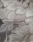 Анкета проститутки Эвелина - метро Пресненский, возраст - 24